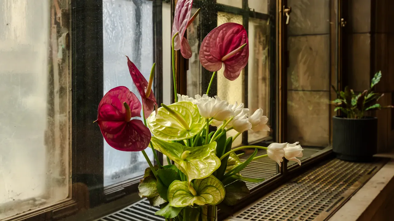 Compositions florales